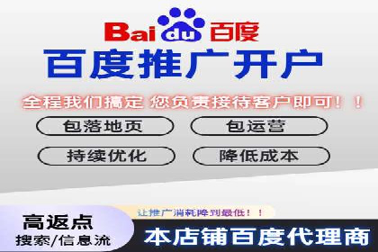 SEM优化师实战：助力企业实现低成本高回报